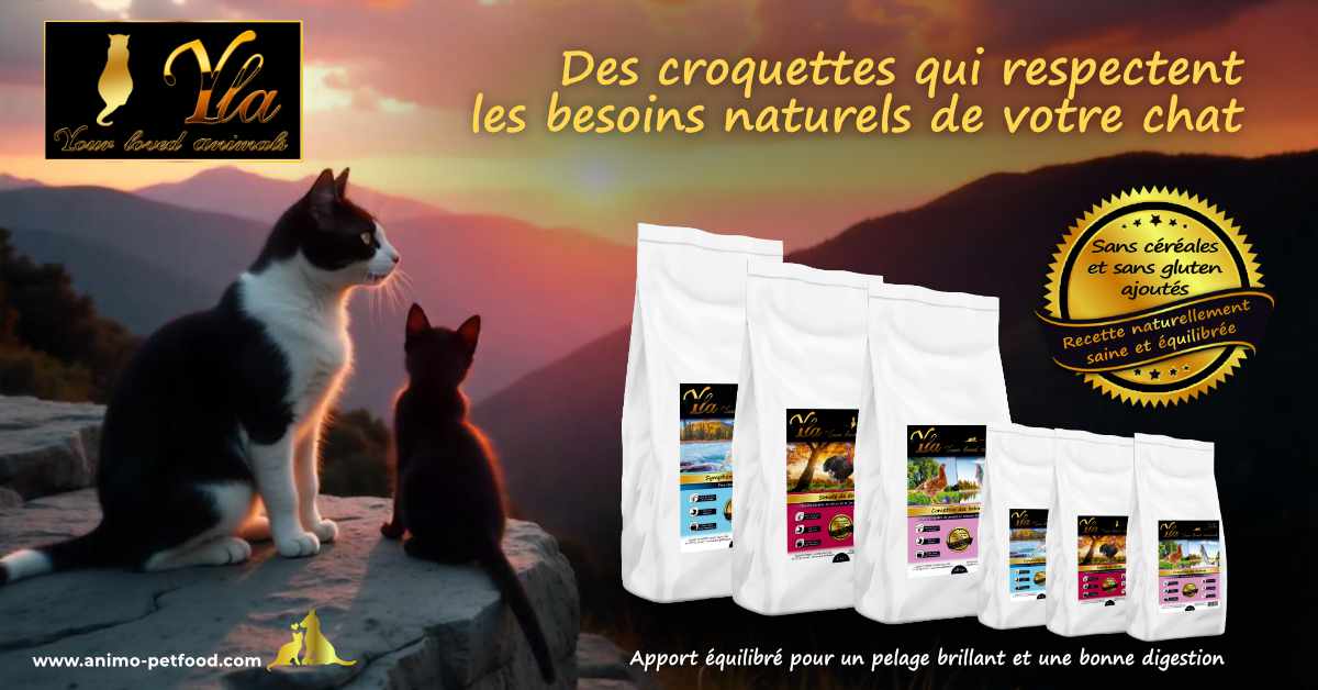 Croquettes pour chat sans céréales et sans gluten YLA, recette naturellement saine et équilibrée pour une alimentation féline de qualité